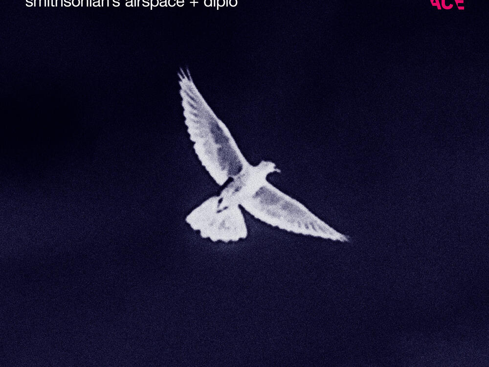 album cover with "Under Ancient Skies, Smithsonian's AirSpace + Diplo" with image of white bird